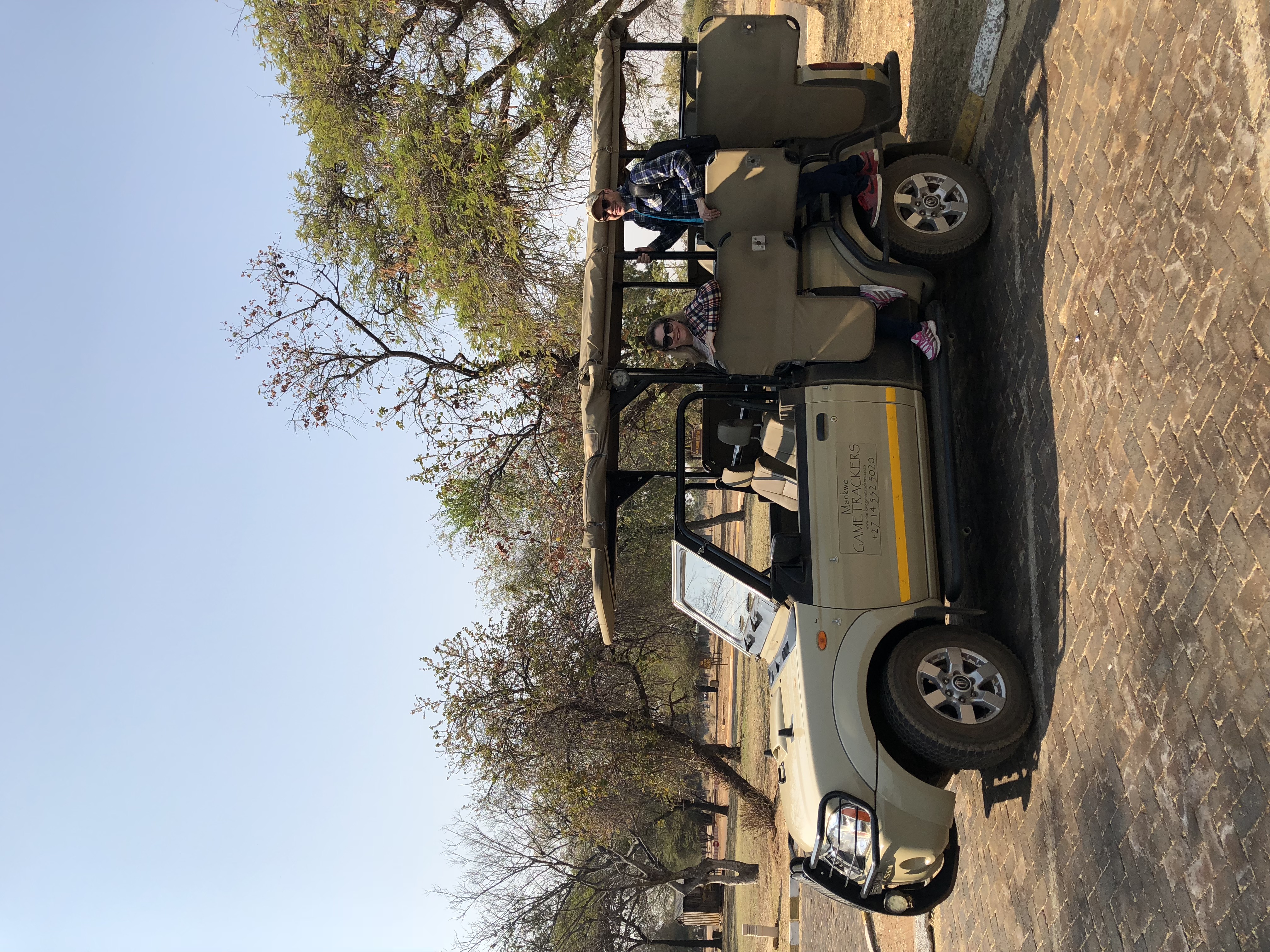 Pilanesberg morning safari and Ukutula Lion Park combo